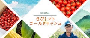 ■産地直送■岡山県農商の旬のお野菜
