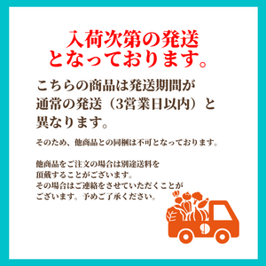 〈WDギフト〉 奈良県産他 白いちご 1粒 約40g【入荷次第発送】