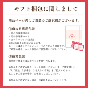 〈母の日ギフト〉■早割■
長崎県他びわのギフト（Lサイズ、1箱化粧箱）【旬果】