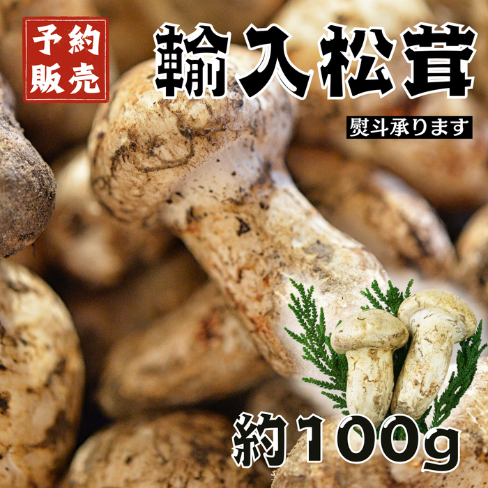 【予約販売】カナダ産又はアメリカ産 
輸入松茸 
約100g 2～4本 　※すだち付