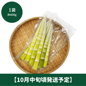 ■予約受付中■
高知県産
四方竹　1袋（約300g）【10月中旬頃発送予定】