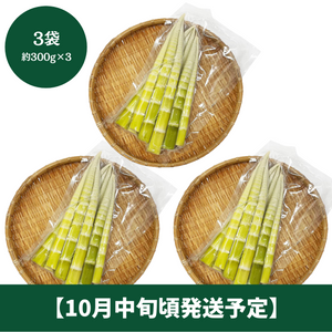 【10/19からおすすめ商品】■予約受付中■高知県産四方竹　3袋（約300g×3袋）【10月中旬頃発送予定】