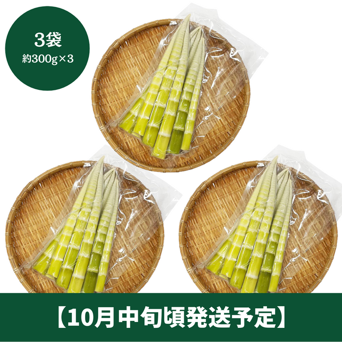 ■予約受付中■
高知県産
四方竹　3袋（約300g×3袋）【10月中旬頃発送予定】