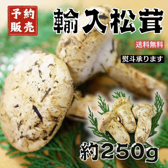 【予約販売】カナダ産又はアメリカ産 
松茸
約250g 4～10本 　※すだち付