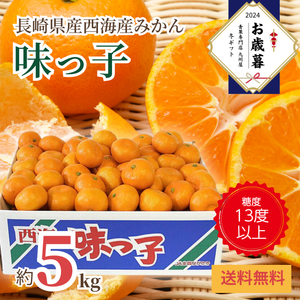 〈お歳暮〉
【糖度13度以上】
長崎県西海産 
みかん「味っ子」
産地箱（約5kg）