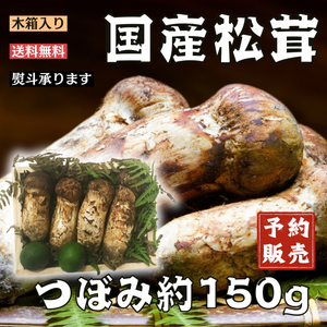 【予約販売】国産松茸
岩手県産
つぼみ　木箱入り
約150g 3～6本　※すだち付