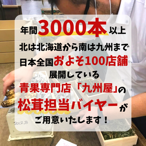 【予約販売】カナダ産又はアメリカ産 
松茸 
約600g 10～24本　※すだち付