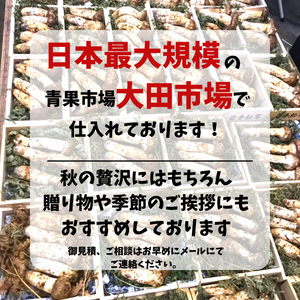 【予約販売】国産松茸 
岩手県産 
つぼみ　木箱入り
約400g 6～12本　※すだち付