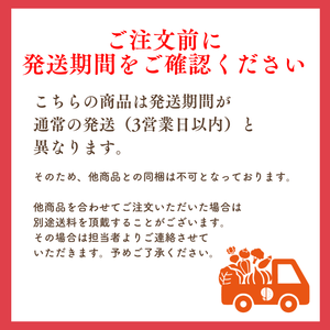 〈母の日ギフト〉■早割■
長崎県産他びわのギフト（2Lサイズ、1箱化粧箱）【旬果】