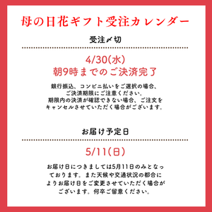 〈母の日ギフト〉
【フラワーギフト】さくらんぼとぶどうのプチギフト【ミネルヴァ】