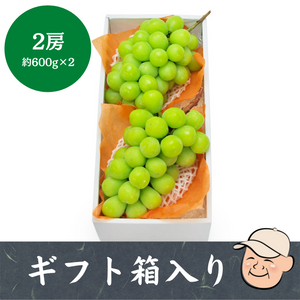 〈ギフト〉中山さんの大きいシャインマスカット　2房（約600g×2）
山梨県勝沼産