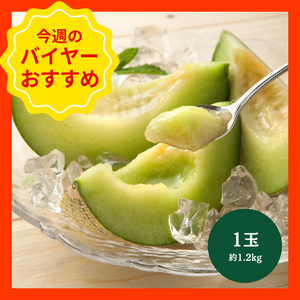 【9/7からおすすめ商品】アールスメロン　1玉(約1.2㎏)　茨城県産他