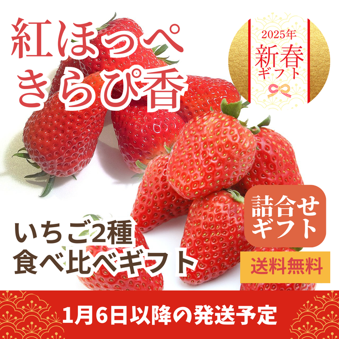 〈新春ギフト〉
【静岡いちご食べ比べ】
紅ほっぺときらぴ香のギフト
1箱（1パック×2種）