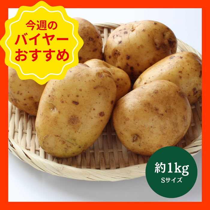 【1/11からおすすめ商品】新じゃがいも　約1kg　Sサイズ　長崎県産他