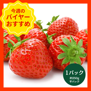 【1/18からおすすめ商品】とちあいか　1パック(約250g平パック)　栃木県産