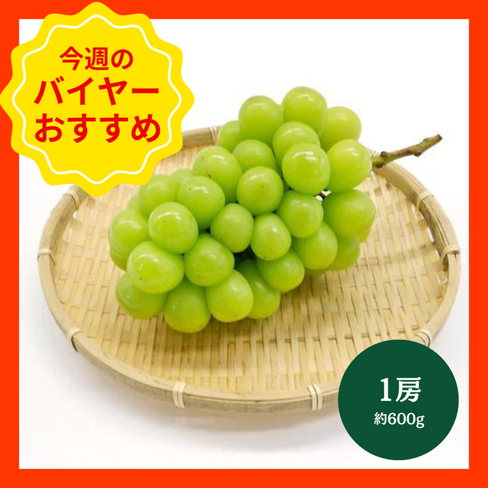 【9/14からおすすめ商品】大房シャインマスカット　1房(約650g)　山梨県産他