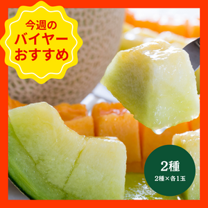 【4/19からおすすめ商品】訳あり■メロン2種食べ比べセット　茨城県産