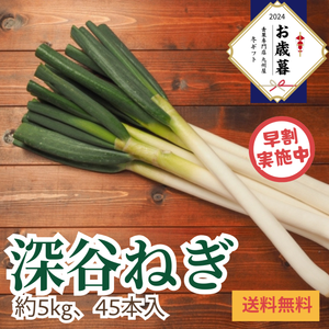 【早割】〈お歳暮〉
埼玉県産 
深谷ねぎ 
産地箱1箱（約5kg、45本入り）