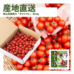 【産地直送】岡山県農商の「きびトマト」 約1㎏【送料無料】