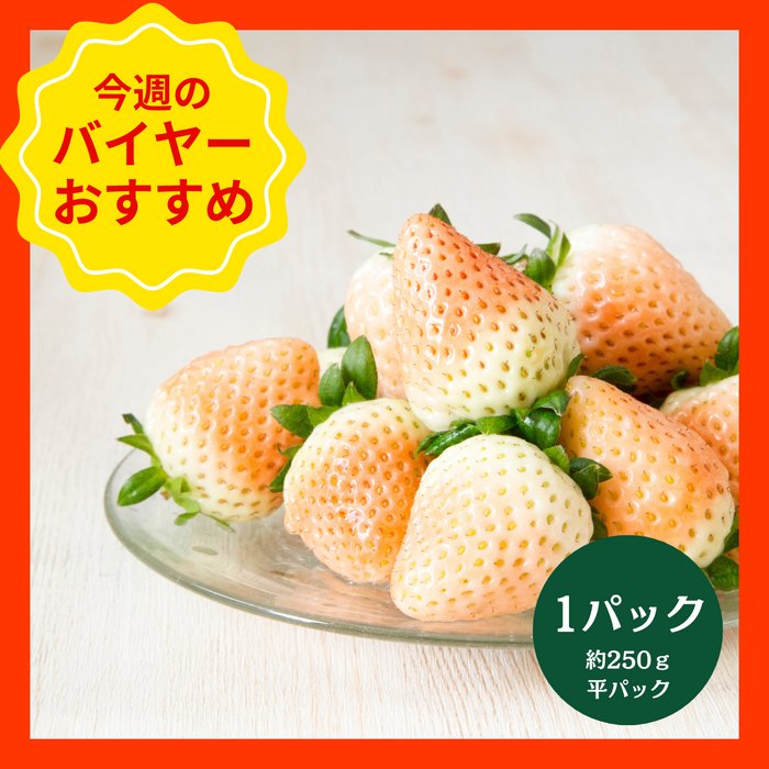 【3/8からおすすめ商品】大場さんの淡雪いちご　1パック(約250g　平パック)　茨城県産　