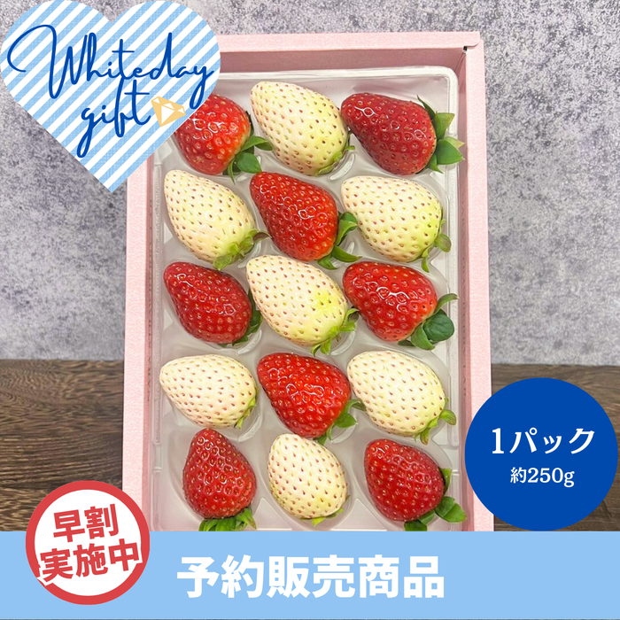 【早割】〈WDギフト〉
奈良県産 紅白いちご
(古都華・白いちご)
1パック（約250g）【予約販売】