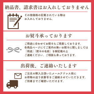 〈母の日ギフト〉■早割■
熊本県産他青肉メロンのギフト（2玉詰め）【旬果】