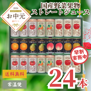 【早割】国産野菜果実ストレートジュース24缶セット（PA-35)〈お中元〉