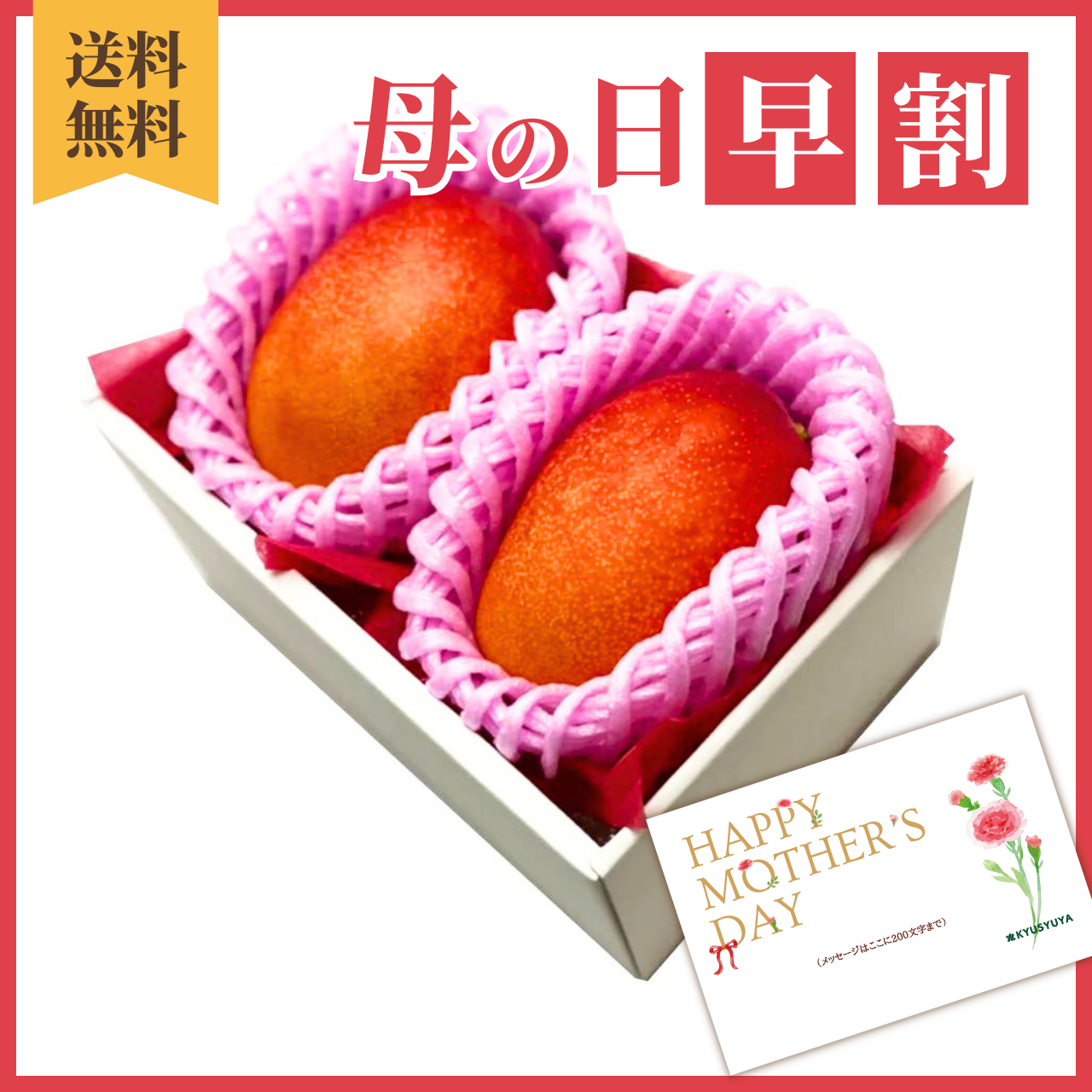 宮崎県産 完熟マンゴー 2Lサイズ 2パック入り タイムセール - 果物