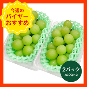 【9/14からおすすめ商品】シャインマスカット　2パック(約300g×2)　山梨県産他