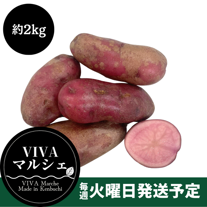 北海道剣淵町産
『ノーザンルビー』約2kg【受注販売】