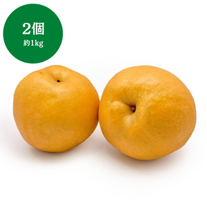 ◆9月11日販売開始予定◆
新潟県産他
新高梨 
2個　約1kg