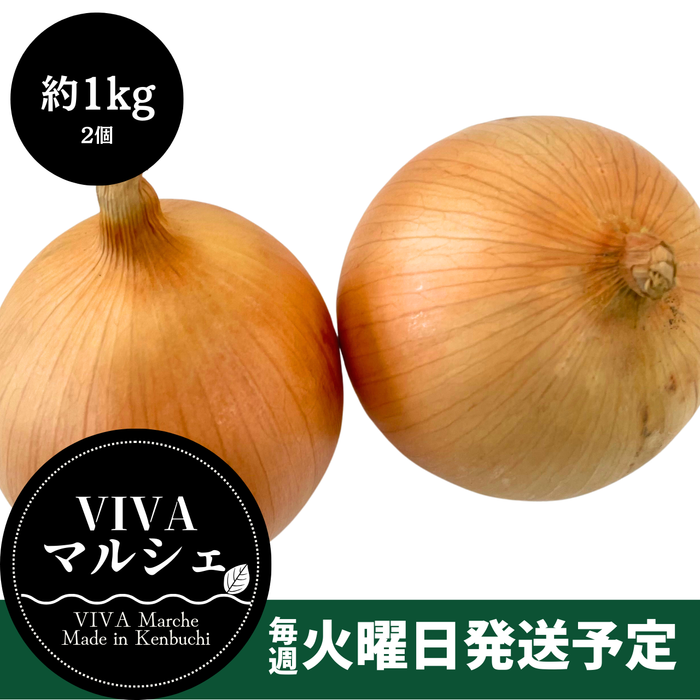 北海道剣淵町産
『玉ねぎ』約1kg（2個入り×2袋）【受注販売】