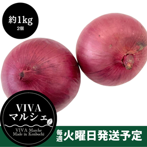 北海道剣淵町産
『玉ねぎ（赤）』約1kg（2個入り×2袋）【受注販売】