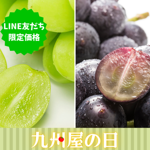 【LINE限定価格】2色のぶどうセット〈九州屋の日〉