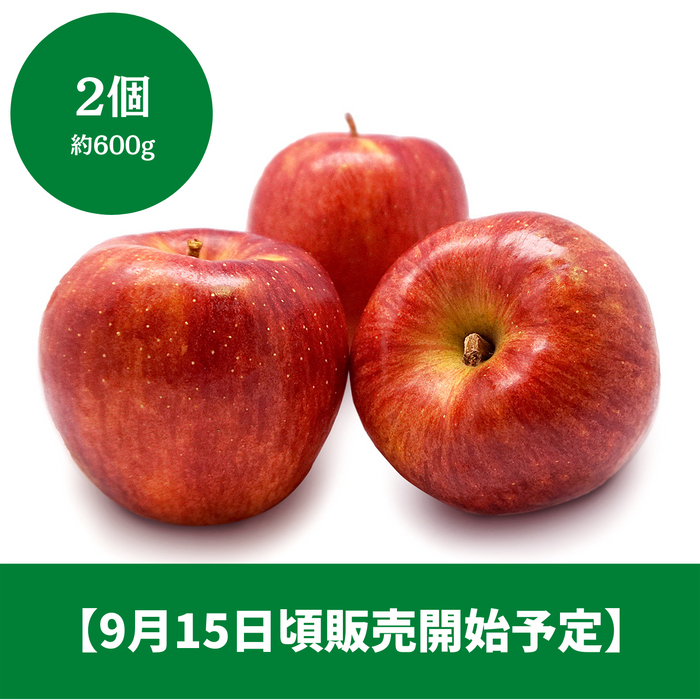 ◆9月15日頃販売開始予定◆
長野県産他 
シナノドルチェ 
2個　約600g