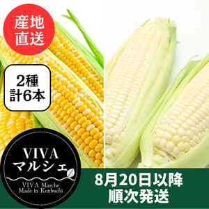 とうもろこし2色6本セット
（ドルチェドリーム・ホイップコーン　各3本）北海道剣淵町産
【産地直送】