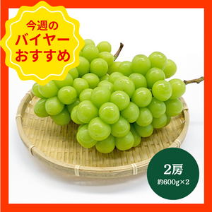 【9/14からおすすめ商品】大房シャインマスカット　2房(約650g×2)　山梨県産他