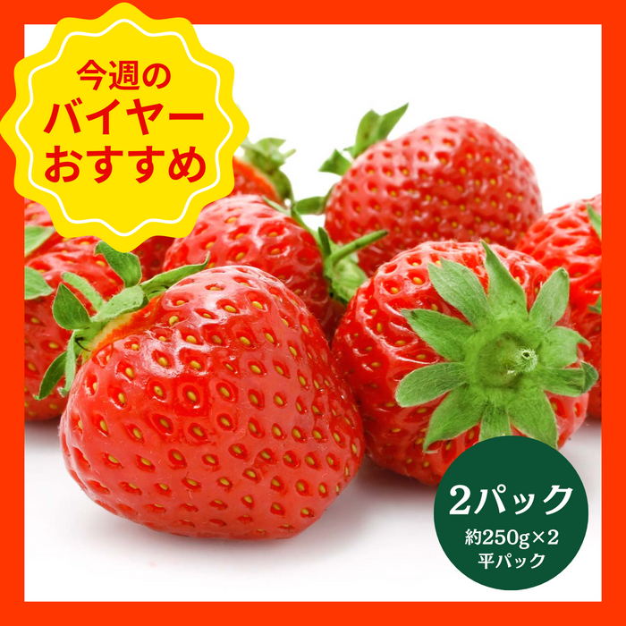 【1/18からおすすめ商品】とちあいか　2パック(約250g×2平パック)　栃木県産