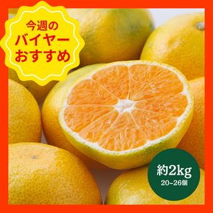 【10/19からおすすめ商品】■糖度11度以上■味まるみかん　約2kg(20～26個)　長崎県産