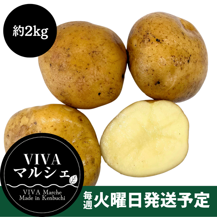 北海道剣淵町産
『きたひめ』約2kg【受注販売】