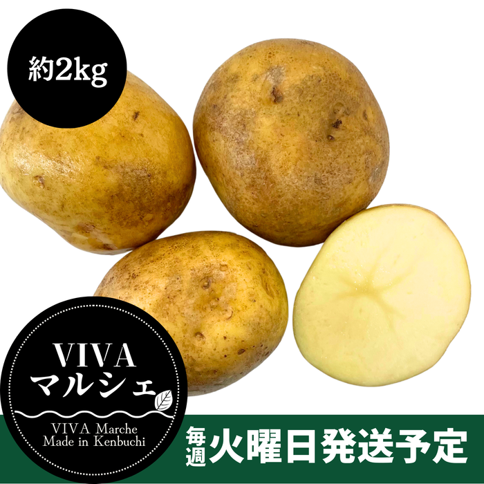 北海道剣淵町産
『きたかむい』約2kg【受注販売】