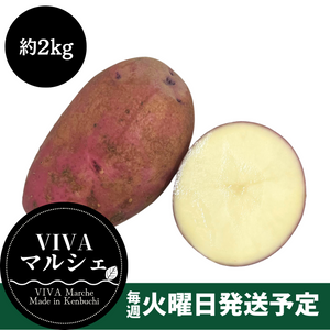 北海道剣淵町産
『レッドカリスマ』約2kg【受注販売】