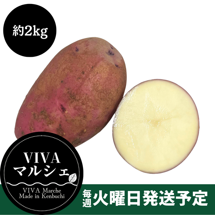 北海道剣淵町産
『レッドカリスマ』約2kg【受注販売】