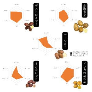 【選べる】人気No.1『デストロイヤー』とお好きなじゃがいも2種 北海道剣淵町産【受注販売】