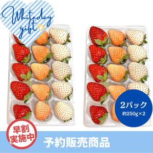 【早割】〈WDギフト〉
奈良県産 3色いちご 
11～15粒 (L～2Lサイズ) 
2パック（約250g×2）【予約販売】