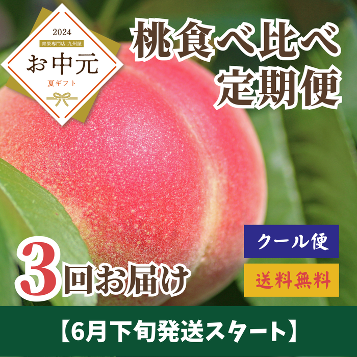 桃食べ比べ定期便【3回お届け】〈お中元〉