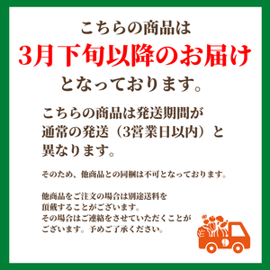 〈ギフト〉
【3月下旬以降のお届け】旬を先どり3月のフルーツセット【予約販売】