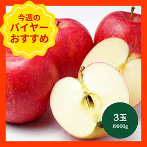 【12/14からおすすめ商品】紅秋光　3玉(約900g)　秋田県産