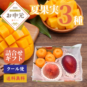 夏果実のフルーツギフト【3種】〈お中元〉