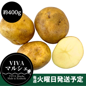 北海道剣淵町産
『きたかむい』約400g【受注販売】